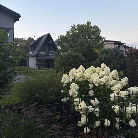 U Tadzia * Kamesznica