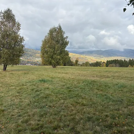 U Tadzia